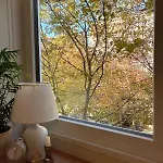 Cozy Near Center
