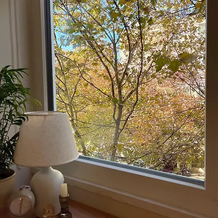 Cozy Near Center