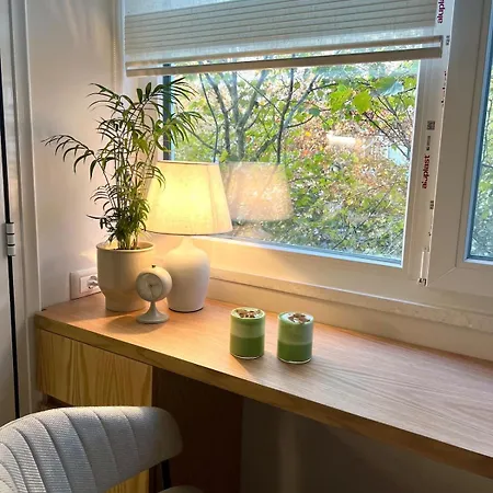 Cozy Near Center Tiran